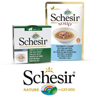 Schesir
