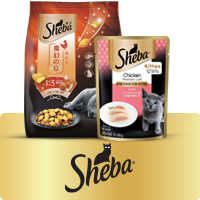 Sheba